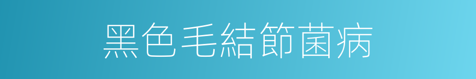 黑色毛結節菌病的同義詞