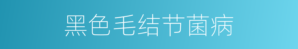 黑色毛结节菌病的同义词