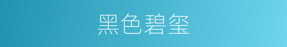 黑色碧玺的同义词