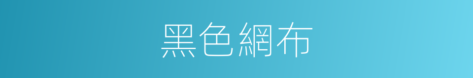 黑色網布的同義詞