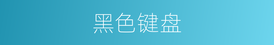 黑色键盘的同义词