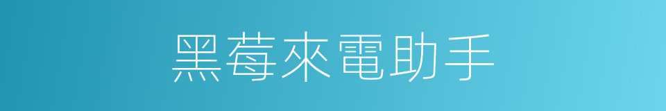 黑莓來電助手的同義詞