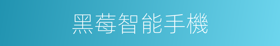 黑莓智能手機的同義詞