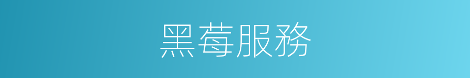 黑莓服務的同義詞