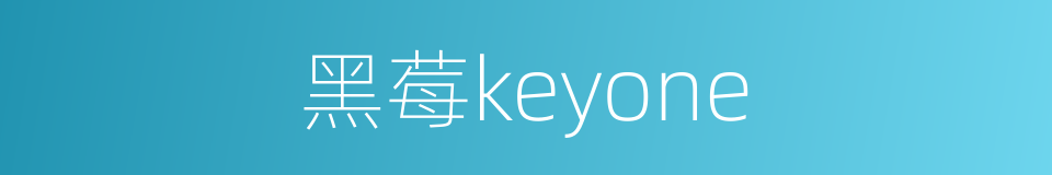 黑莓keyone的同义词