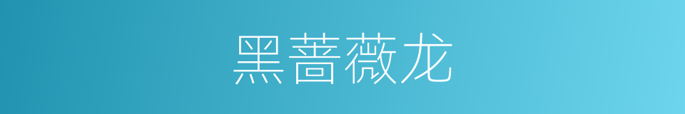 黑蔷薇龙的同义词