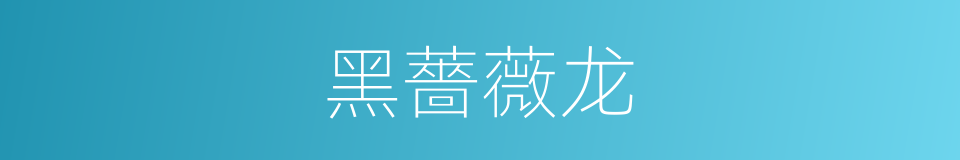 黑薔薇龙的同義詞