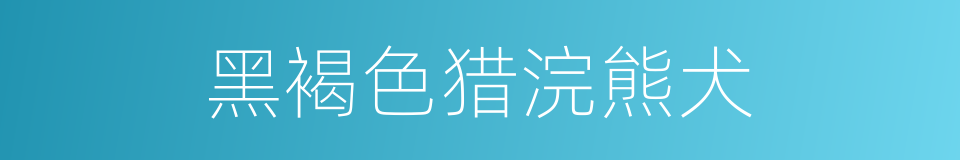 黑褐色猎浣熊犬的同义词