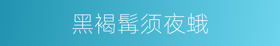 黑褐髯须夜蛾的同义词