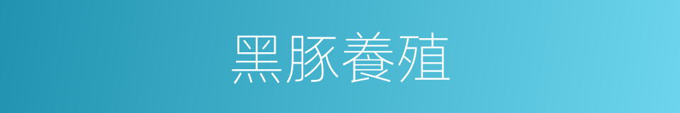 黑豚養殖的同義詞