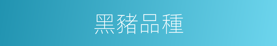 黑豬品種的同義詞