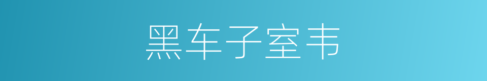 黑车子室韦的同义词