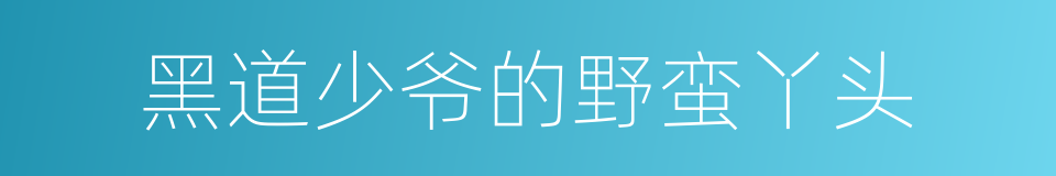 黑道少爷的野蛮丫头的同义词