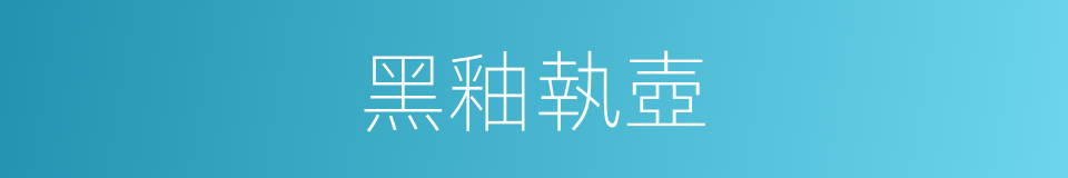 黑釉執壺的同義詞