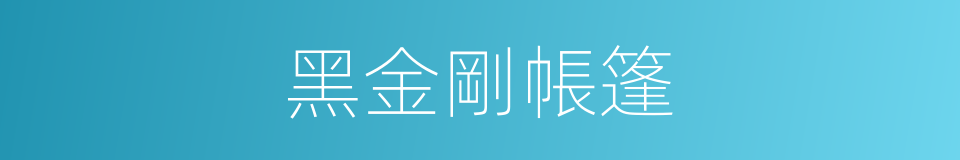 黑金剛帳篷的同義詞