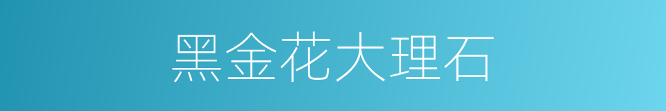 黑金花大理石的同义词