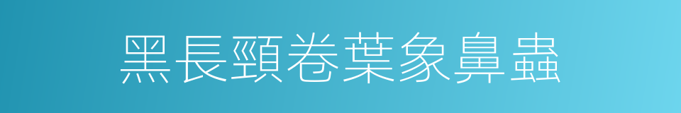黑長頸卷葉象鼻蟲的同義詞