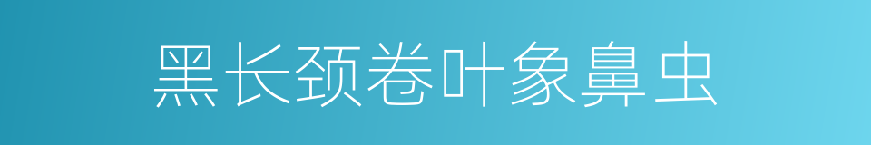 黑长颈卷叶象鼻虫的同义词