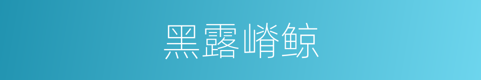 黑露嵴鲸的同义词