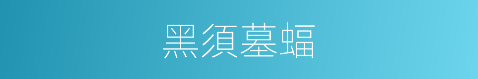 黑須墓蝠的同義詞