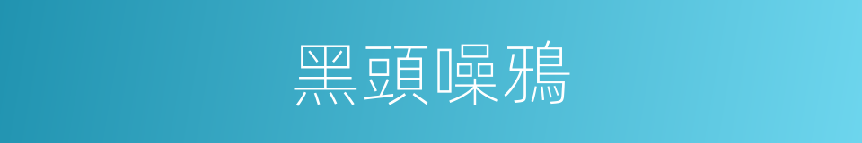 黑頭噪鴉的同義詞