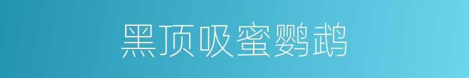 黑顶吸蜜鹦鹉的同义词