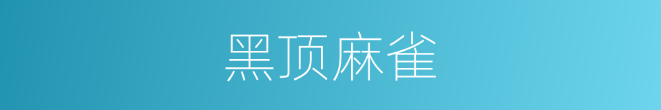 黑顶麻雀的同义词