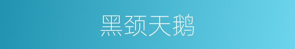 黑颈天鹅的同义词