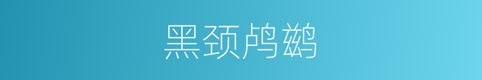 黑颈鸬鹚的同义词