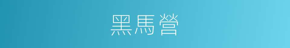 黑馬營的同義詞