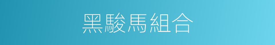 黑駿馬組合的同義詞