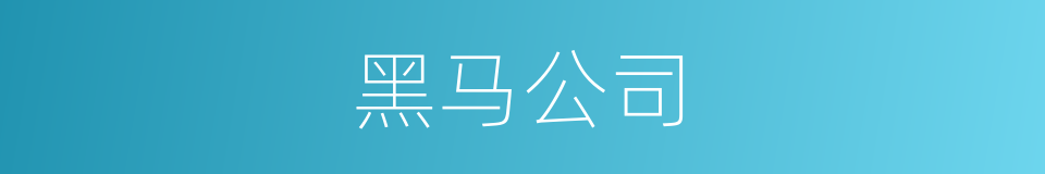 黑马公司的同义词