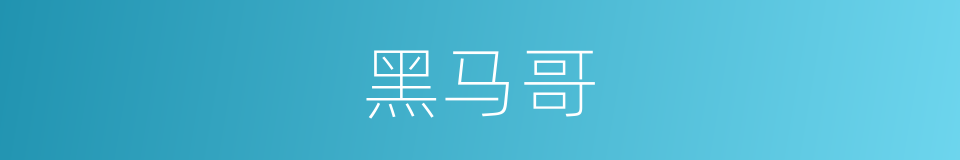黑马哥的同义词
