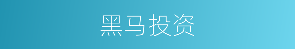 黑马投资的同义词