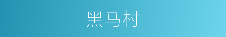 黑马村的同义词