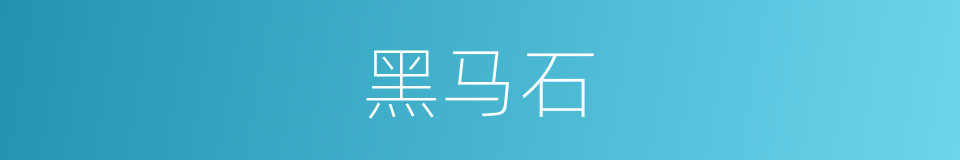 黑马石的同义词