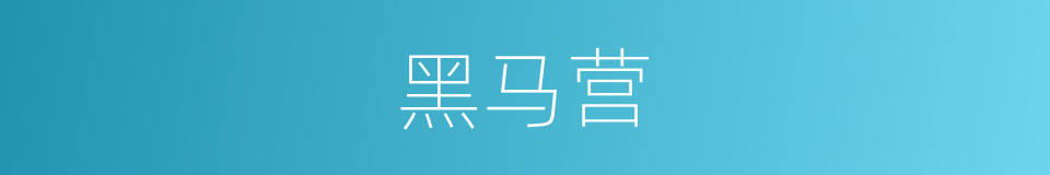 黑马营的同义词
