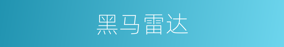 黑马雷达的同义词