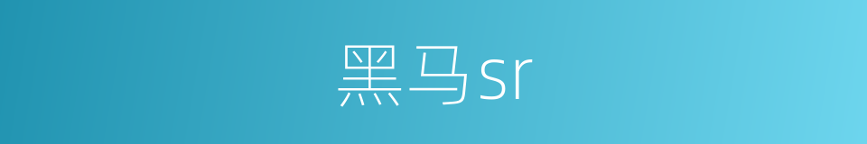 黑马sr的同义词