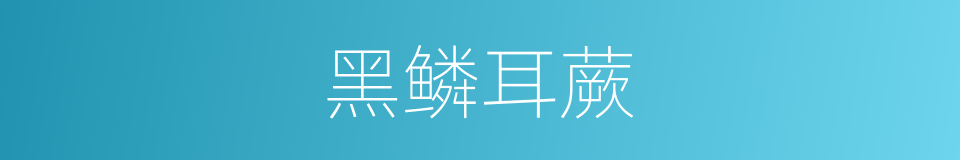 黑鳞耳蕨的同义词