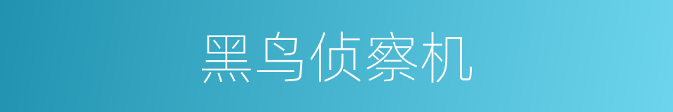 黑鸟侦察机的同义词