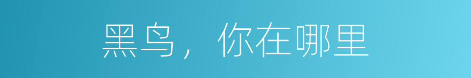 黑鸟，你在哪里的同义词