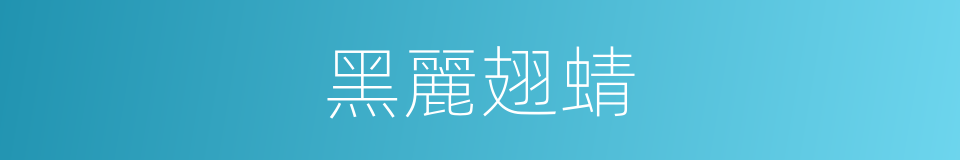 黑麗翅蜻的同義詞