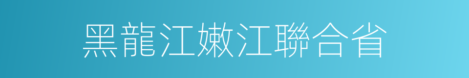 黑龍江嫩江聯合省的同義詞