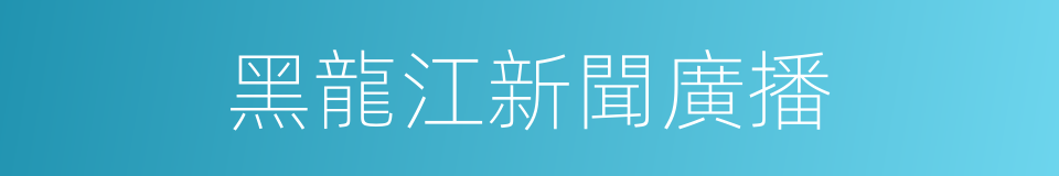 黑龍江新聞廣播的同義詞