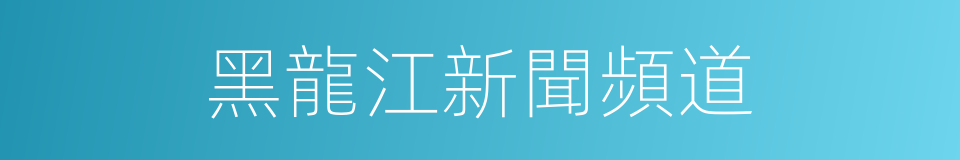 黑龍江新聞頻道的同義詞