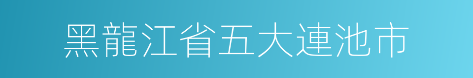 黑龍江省五大連池市的同義詞