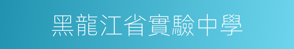 黑龍江省實驗中學的同義詞