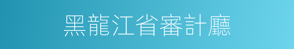 黑龍江省審計廳的同義詞