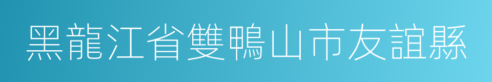 黑龍江省雙鴨山市友誼縣的同義詞